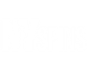 NYSpins logo